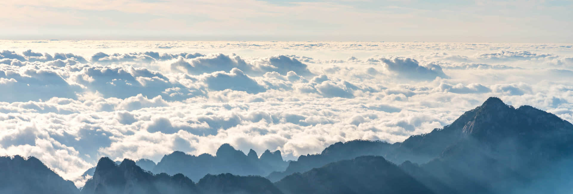 同花顺在线登录简介